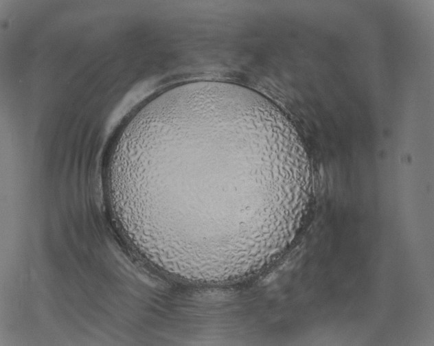 X0000077280198200611101326