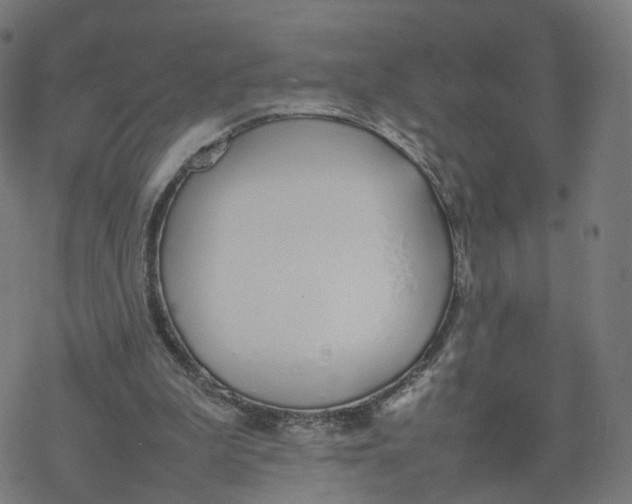 X0000077280199200611101326