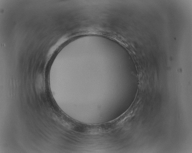 X0000077280200200611101326