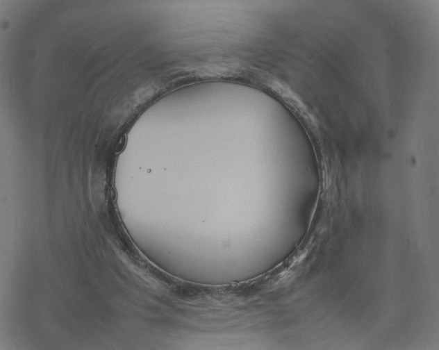 X0000077280201200611101326