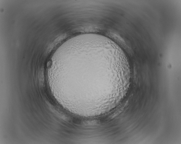 X0000077280202200611101326