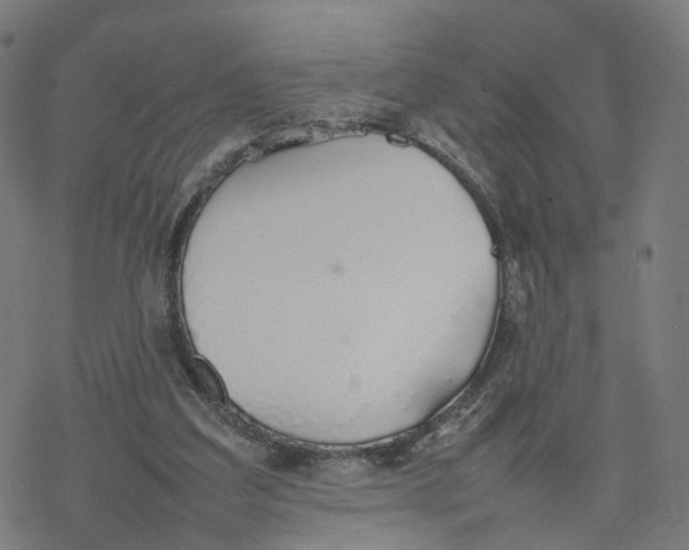 X0000077280203200611101326