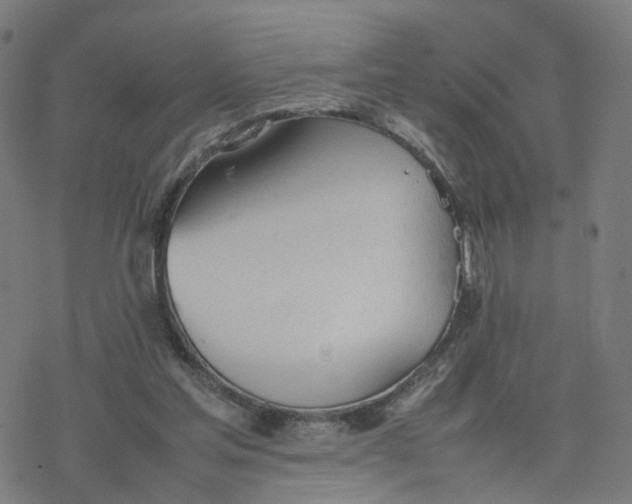 X0000077280205200611101326