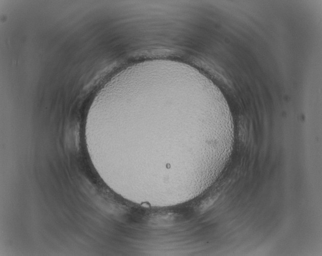 X0000077280206200611101326