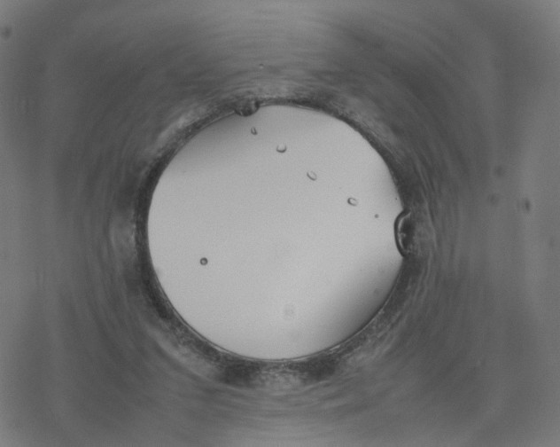 X0000077280207200611101326