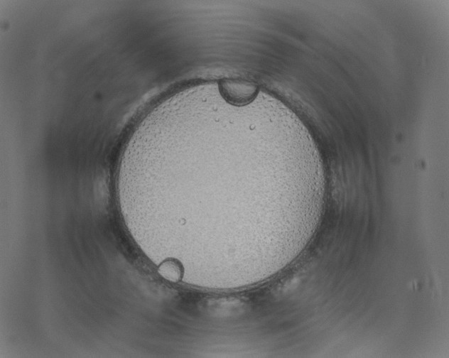 X0000077280208200611101326