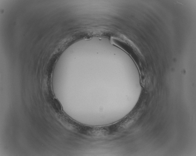 X0000077280209200611101326