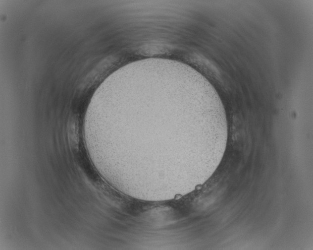 X0000077280210200611101326