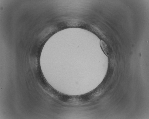 X0000077280211200611101326