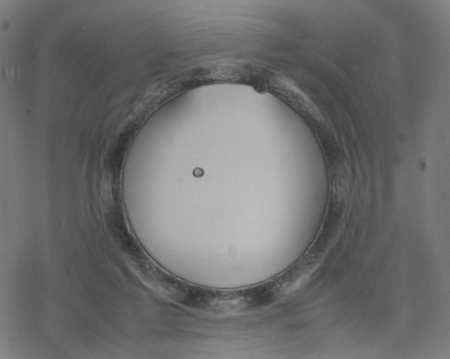 X0000077280213200611101326