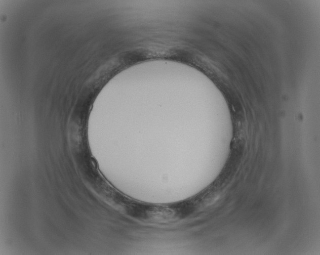 X0000077280215200611101326