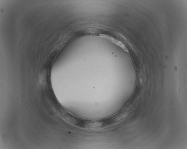 X0000077280217200611101326