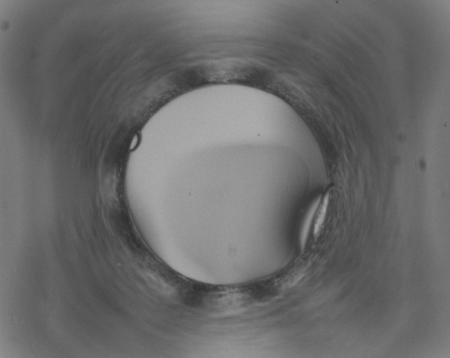 X0000077280219200611101326