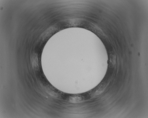 X0000077280220200611101326