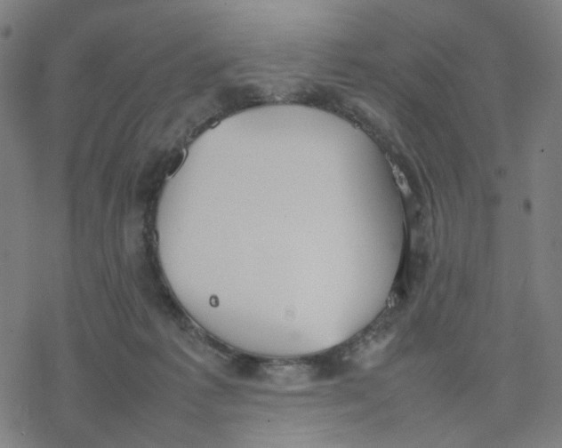 X0000077280221200611101326