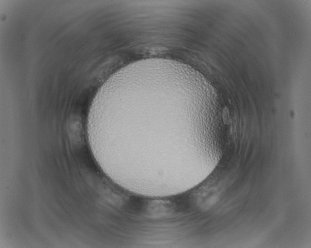 X0000077280222200611101326