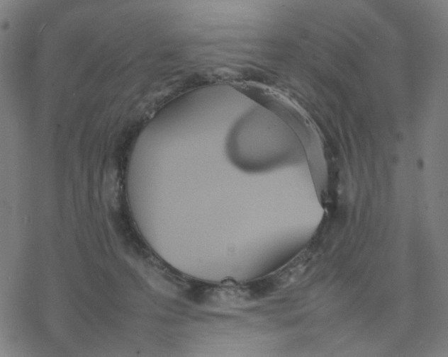 X0000077280223200611101326