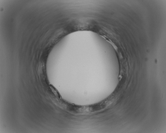 X0000077280225200611101326