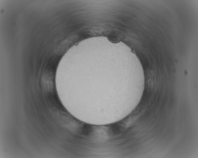 X0000077280226200611101326