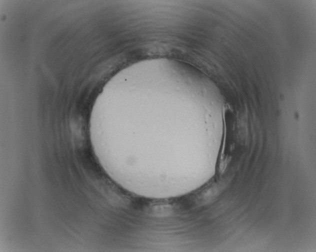 X0000077280228200611101326