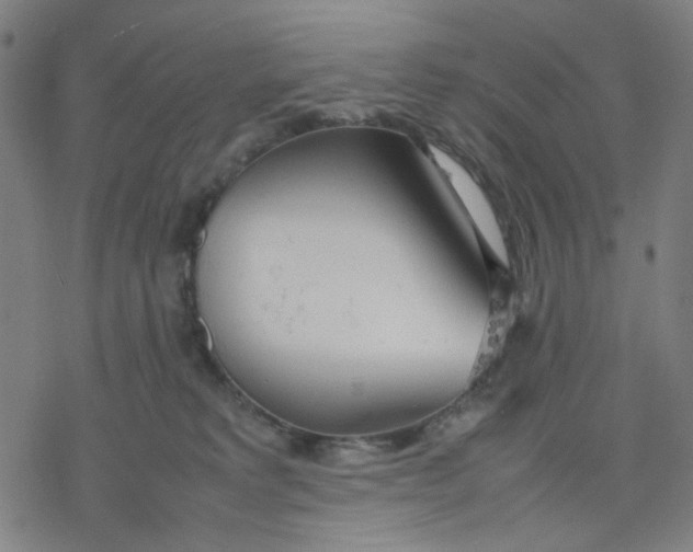 X0000077280229200611101326