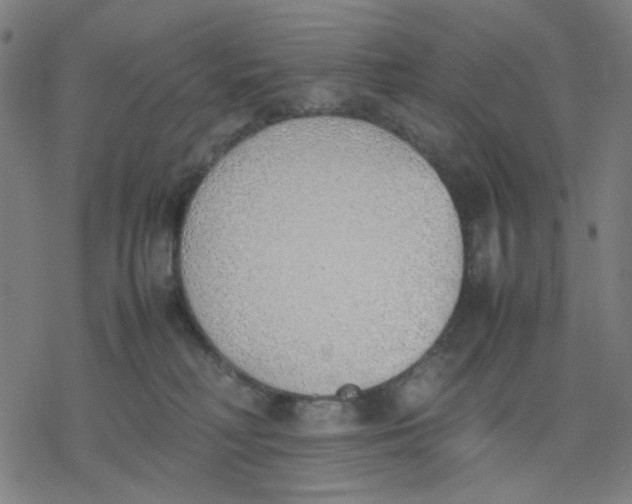 X0000077280230200611101326