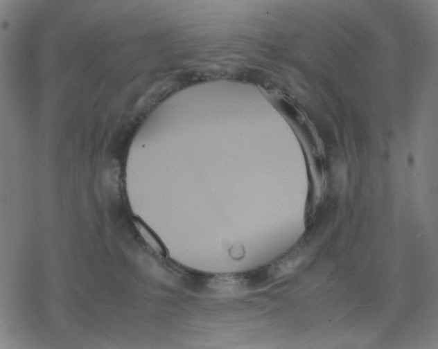 X0000077280231200611101326