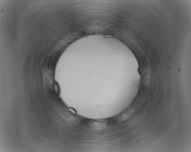 X0000077280232200611101326