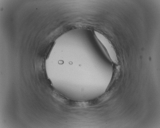 X0000077280233200611101326