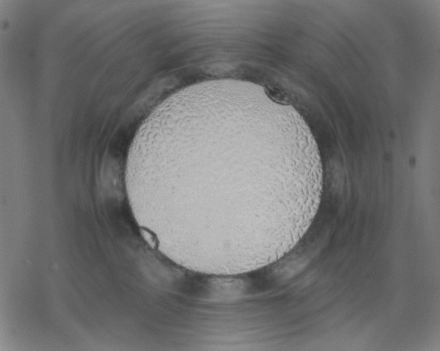 X0000077280234200611101326