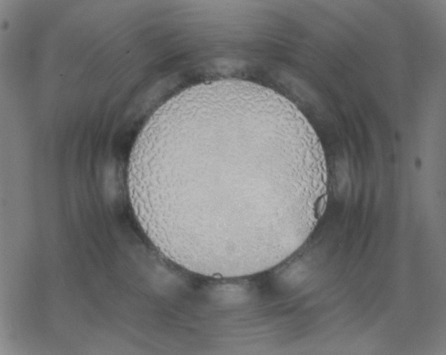 X0000077280236200611101326