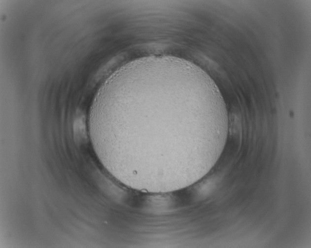 X0000077280238200611101326