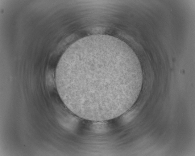 X0000077280240200611101325