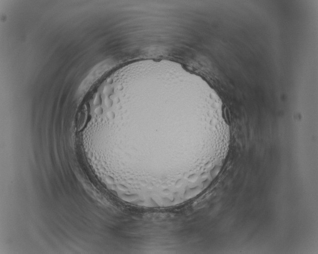 X0000077280242200611101325