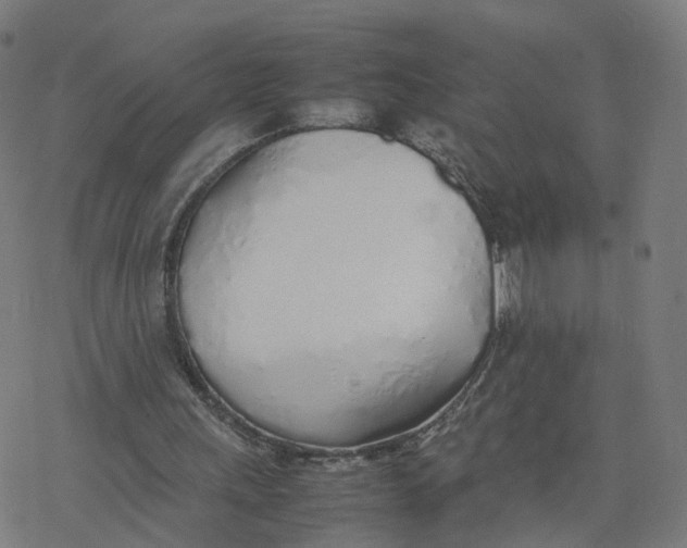 X0000077280243200611101325