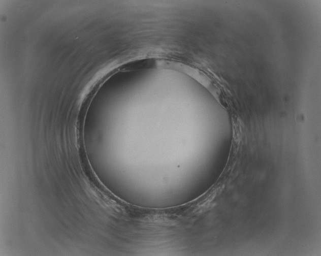 X0000077280244200611101325