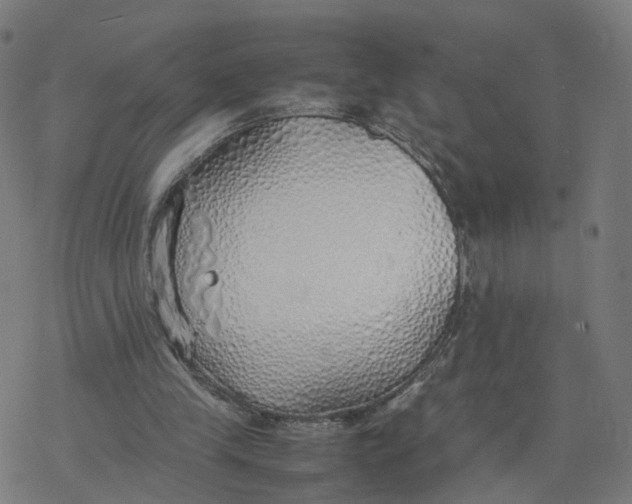 X0000077280245200611101325