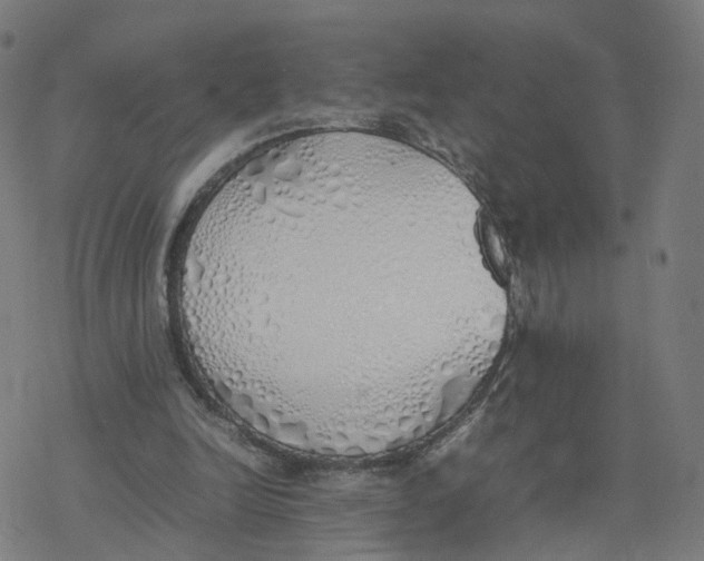 X0000077280246200611101325