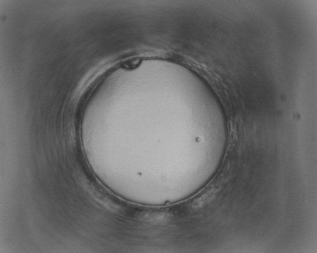 X0000077280247200611101325