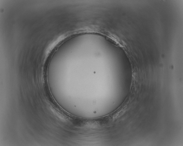 X0000077280248200611101325