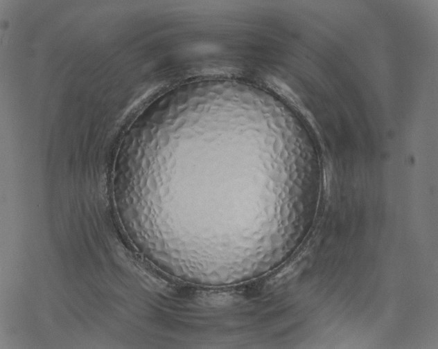 X0000077280249200611101325