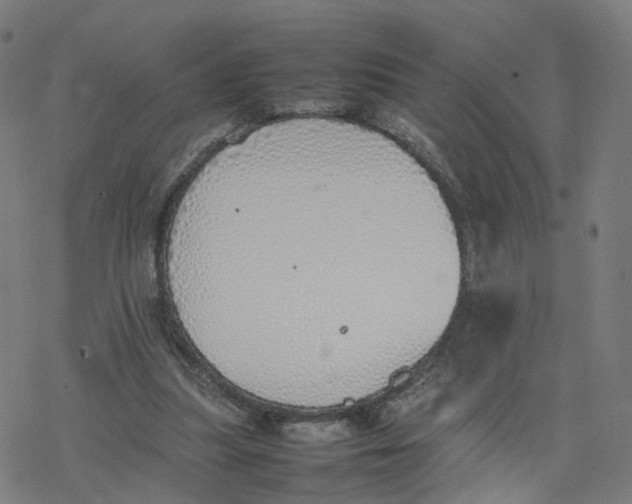 X0000077280251200611101325