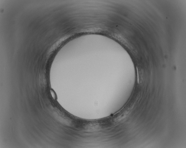 X0000077280252200611101325