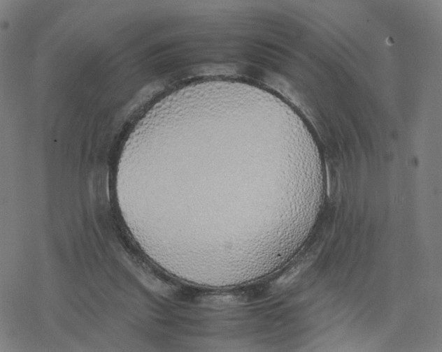 X0000077280253200611101325