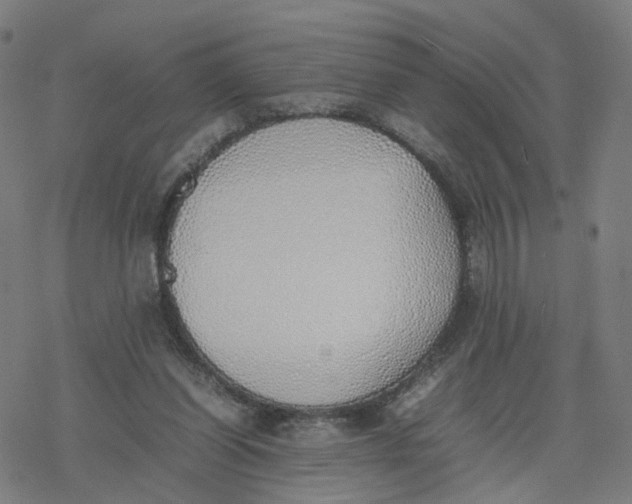 X0000077280254200611101325