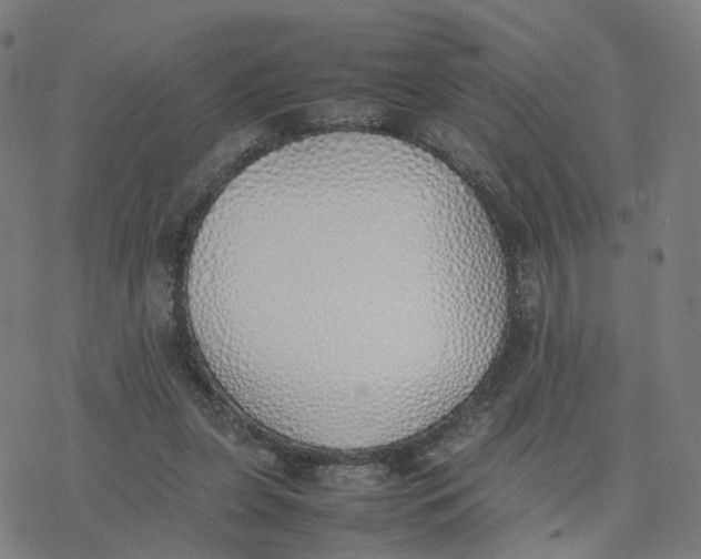 X0000077280255200611101325