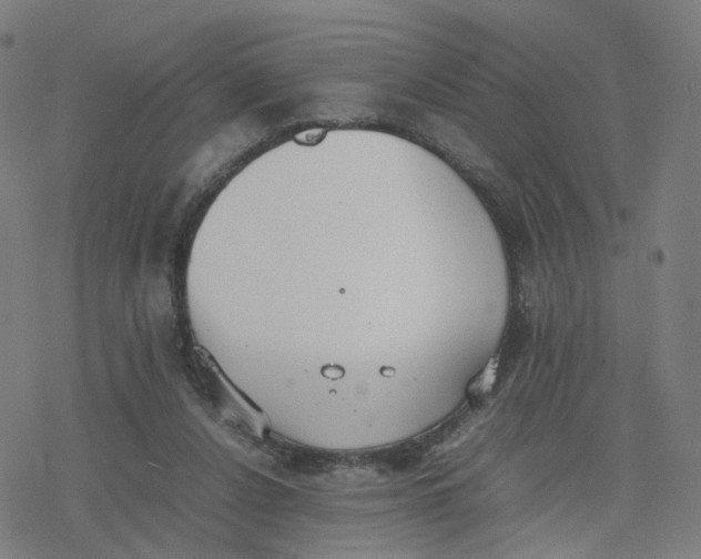 X0000077280256200611101325