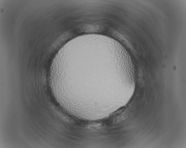 X0000077280257200611101325