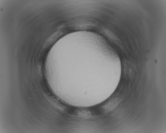 X0000077280258200611101325