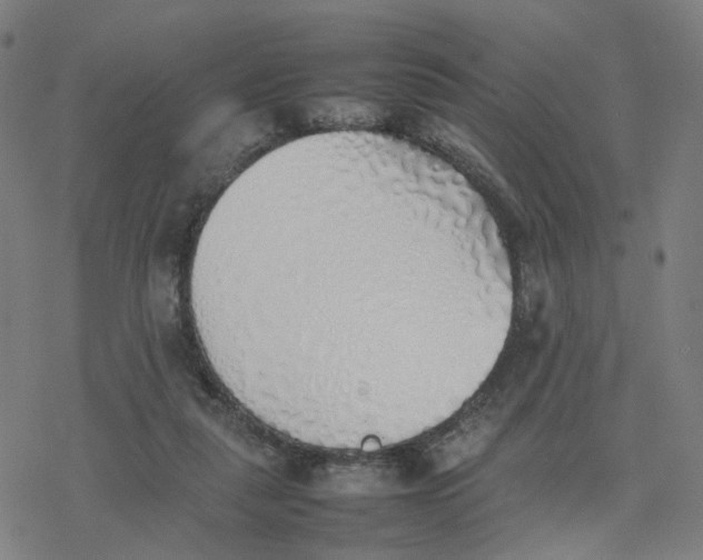 X0000077280259200611101325